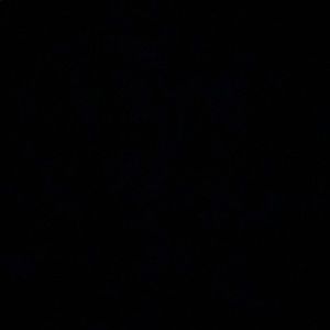 Meet your Posher, Ashlee